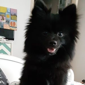 Meet your Posher, Jesika